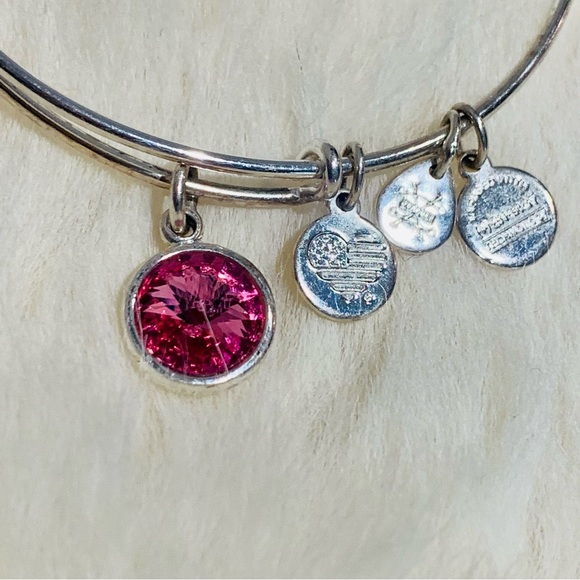 Alex and Ani October Rose Crystal Birthstone Charm Bracelet in Adjustable Silver - Picture 6 of 10